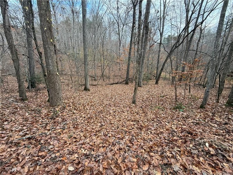 unimproved land for sale at 0 Falling Pines Road, Dahlonega, GA 30533 — photo 6