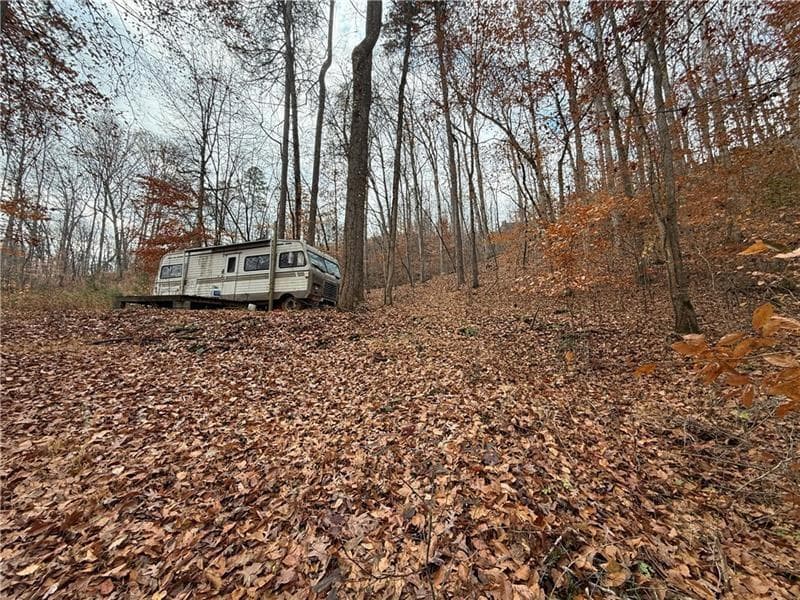 unimproved land for sale at 0 Falling Pines Road, Dahlonega, GA 30533 — photo 7