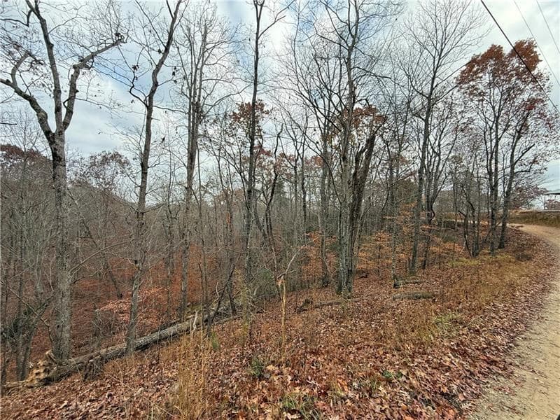 unimproved land for sale at 0 Falling Pines Road, Dahlonega, GA 30533 — photo 8