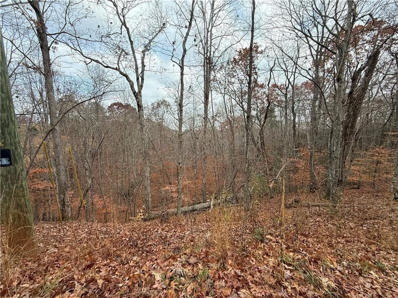 unimproved land for sale at 0 Falling Pines Road, Dahlonega, GA 30533 — photo 9