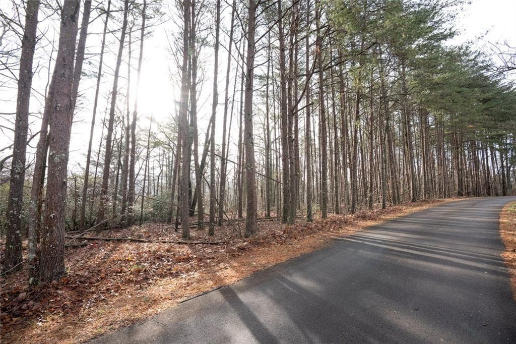 unimproved land for sale at 1 Amber Court, Jasper, GA 30143