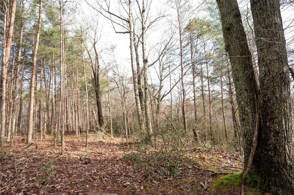 unimproved land for sale at 1 Amber Court, Jasper, GA 30143 — photo 2