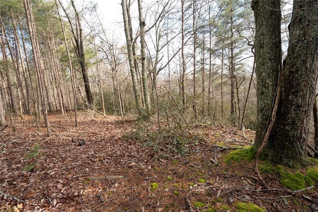 unimproved land for sale at 1 Amber Court, Jasper, GA 30143 — photo 3