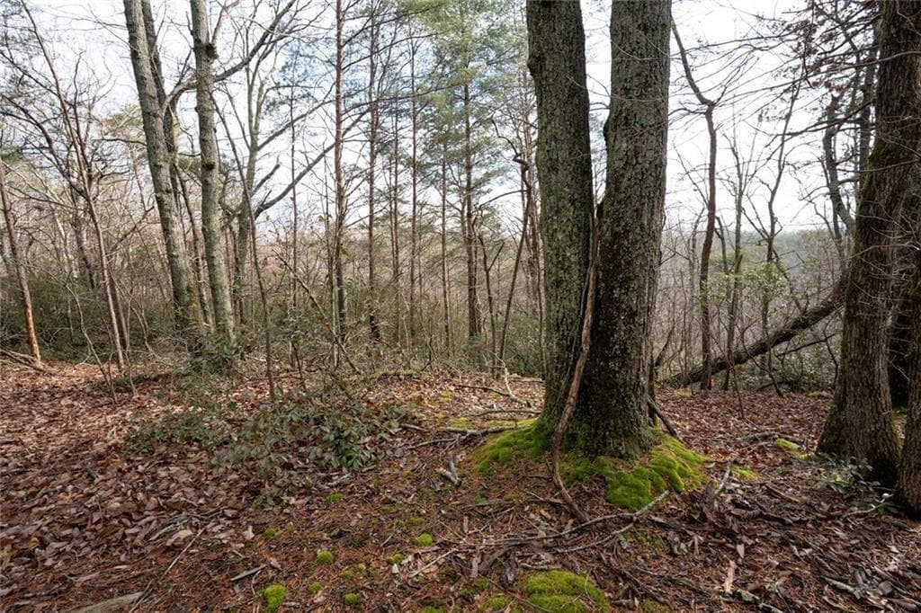 unimproved land for sale at 1 Amber Court, Jasper, GA 30143 — photo 4