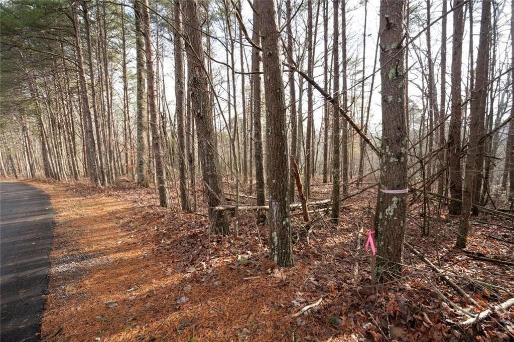 unimproved land for sale at 1 Amber Court, Jasper, GA 30143 — photo 5