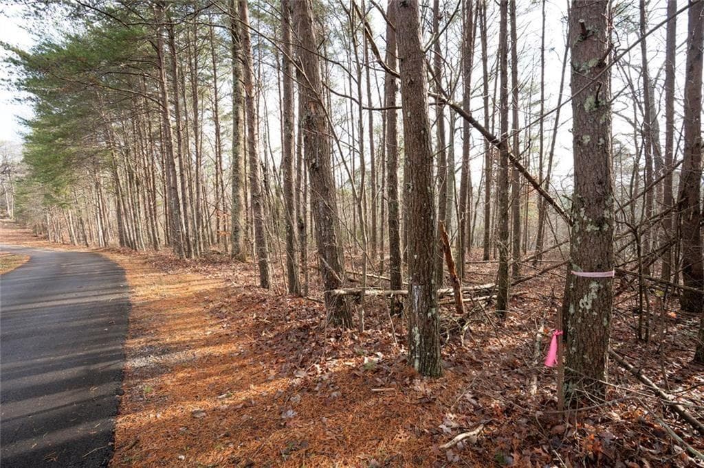 unimproved land for sale at 1 Amber Court, Jasper, GA 30143 — photo 6