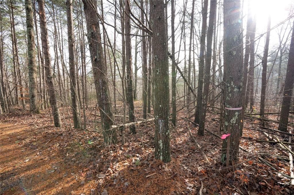 unimproved land for sale at 1 Amber Court, Jasper, GA 30143 — photo 7