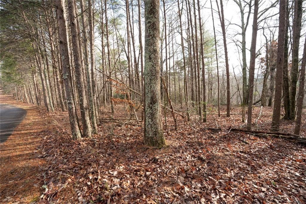 unimproved land for sale at 1 Amber Court, Jasper, GA 30143 — photo 8