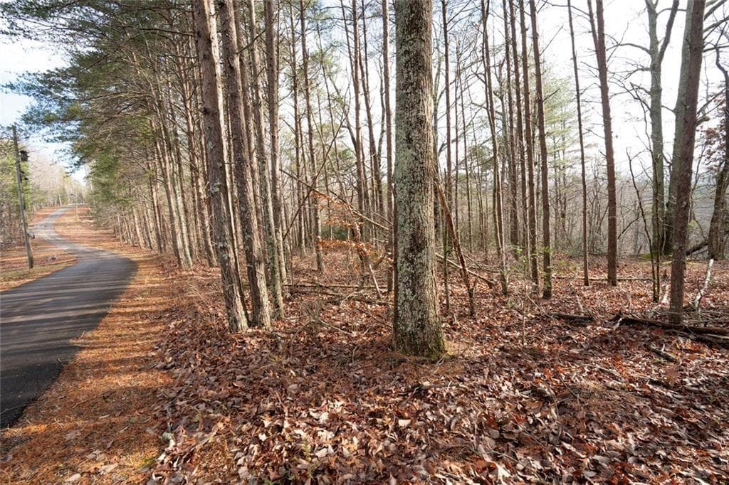 unimproved land for sale at 1 Amber Court, Jasper, GA 30143 — photo 9