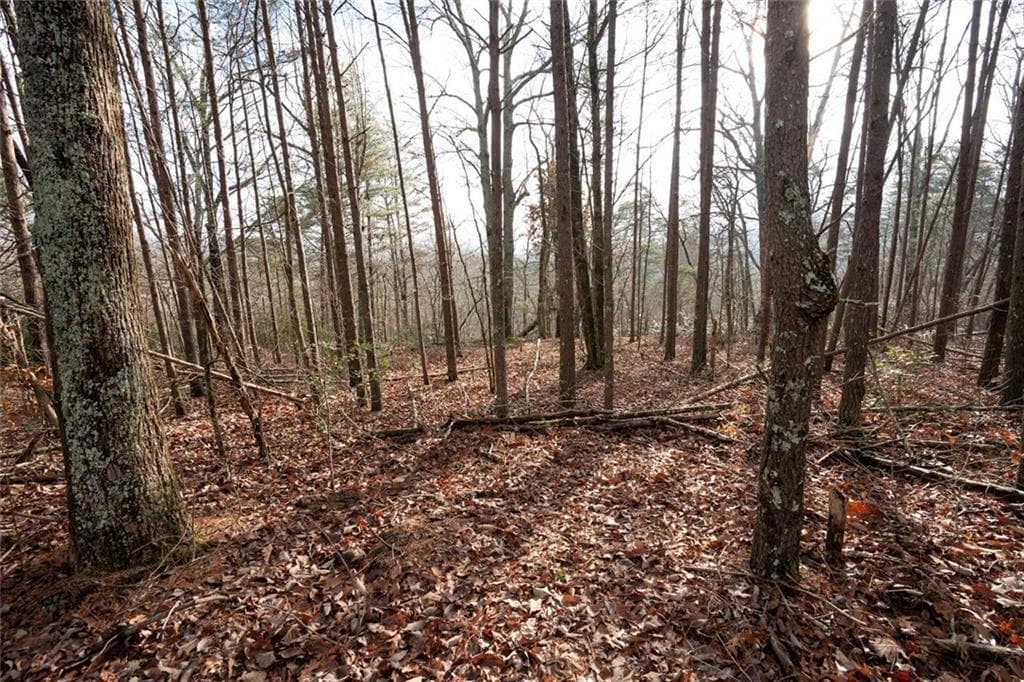 unimproved land for sale at 1 Amber Court, Jasper, GA 30143 — photo 10