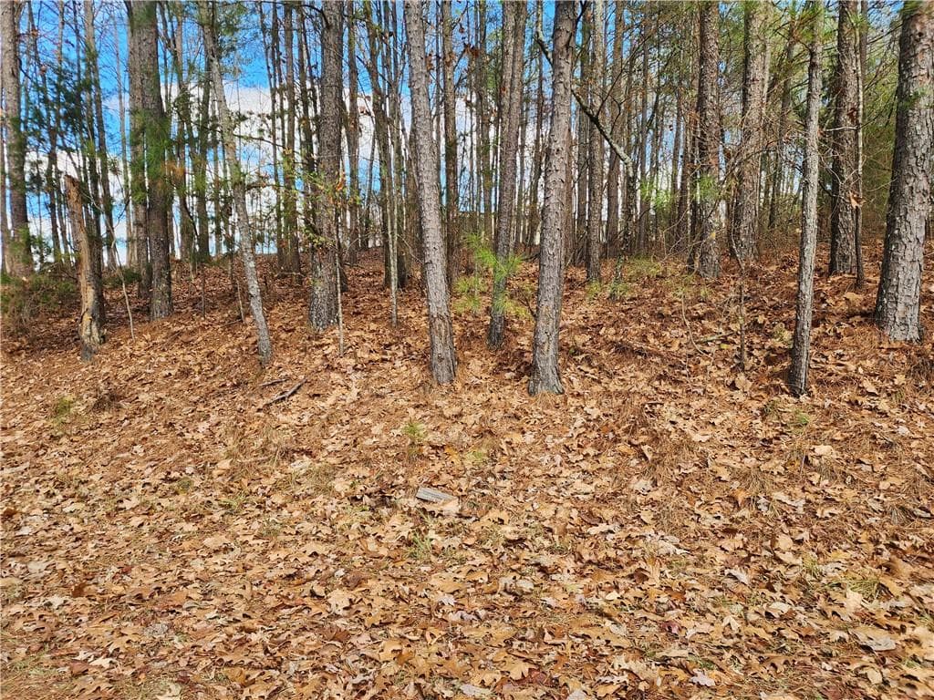 single family residence for sale at 91 Cannon Ridge View, Dallas, GA 30132