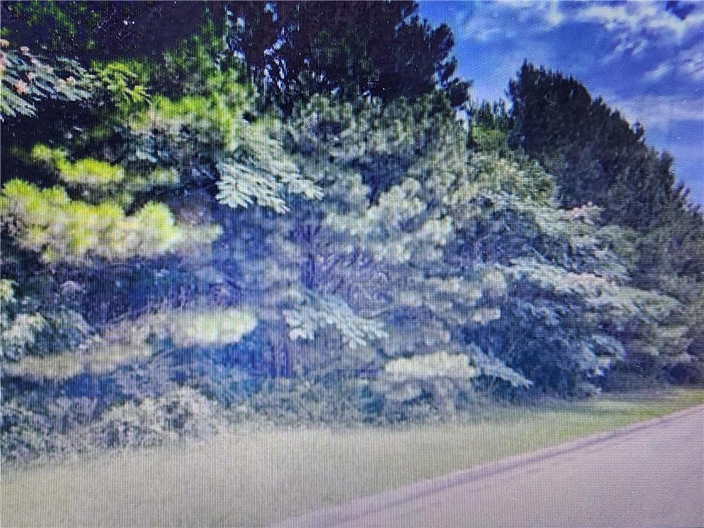 single family residence for sale at 91 Cannon Ridge View, Dallas, GA 30132 — photo 3