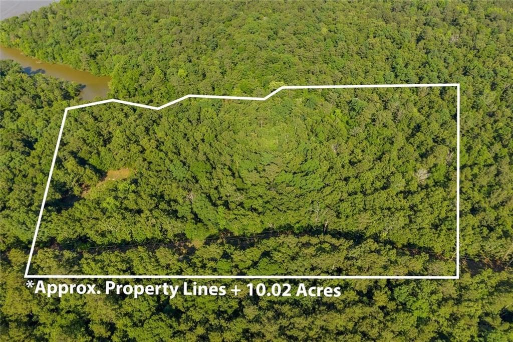 unimproved land for sale at 0 Blacks Bluff Rd SW, Cave Spring, GA 30124 — photo 2