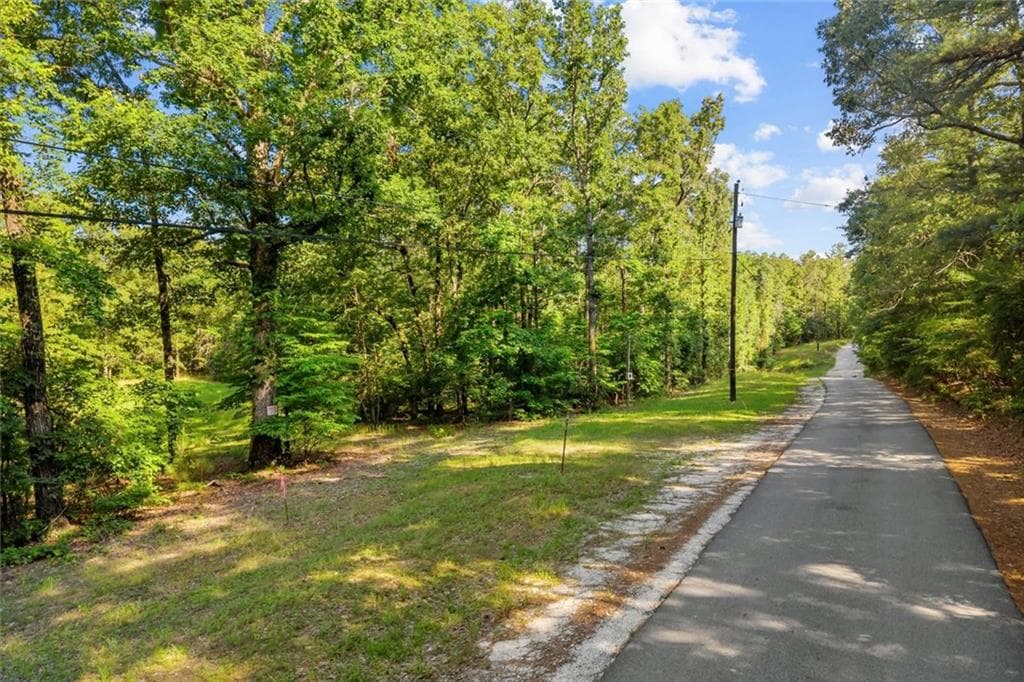 unimproved land for sale at 0 Blacks Bluff Rd SW, Cave Spring, GA 30124 — photo 7