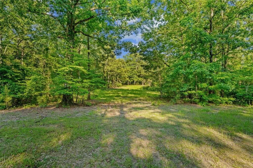 unimproved land for sale at 0 Blacks Bluff Rd SW, Cave Spring, GA 30124 — photo 8