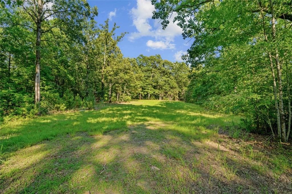 unimproved land for sale at 0 Blacks Bluff Rd SW, Cave Spring, GA 30124 — photo 9