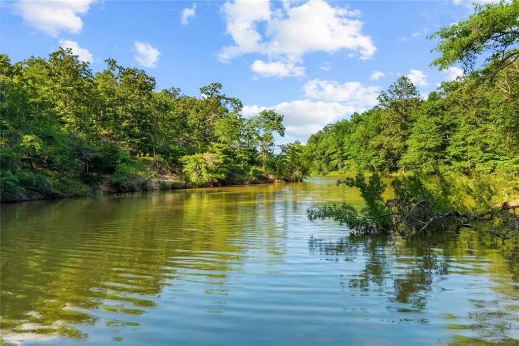 unimproved land for sale at 0 Blacks Bluff Rd SW, Cave Spring, GA 30124 — photo 10