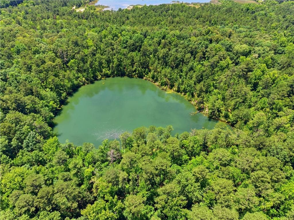 unimproved land for sale at 0 Magnolia, Mcintyre, GA 31054 — photo 3