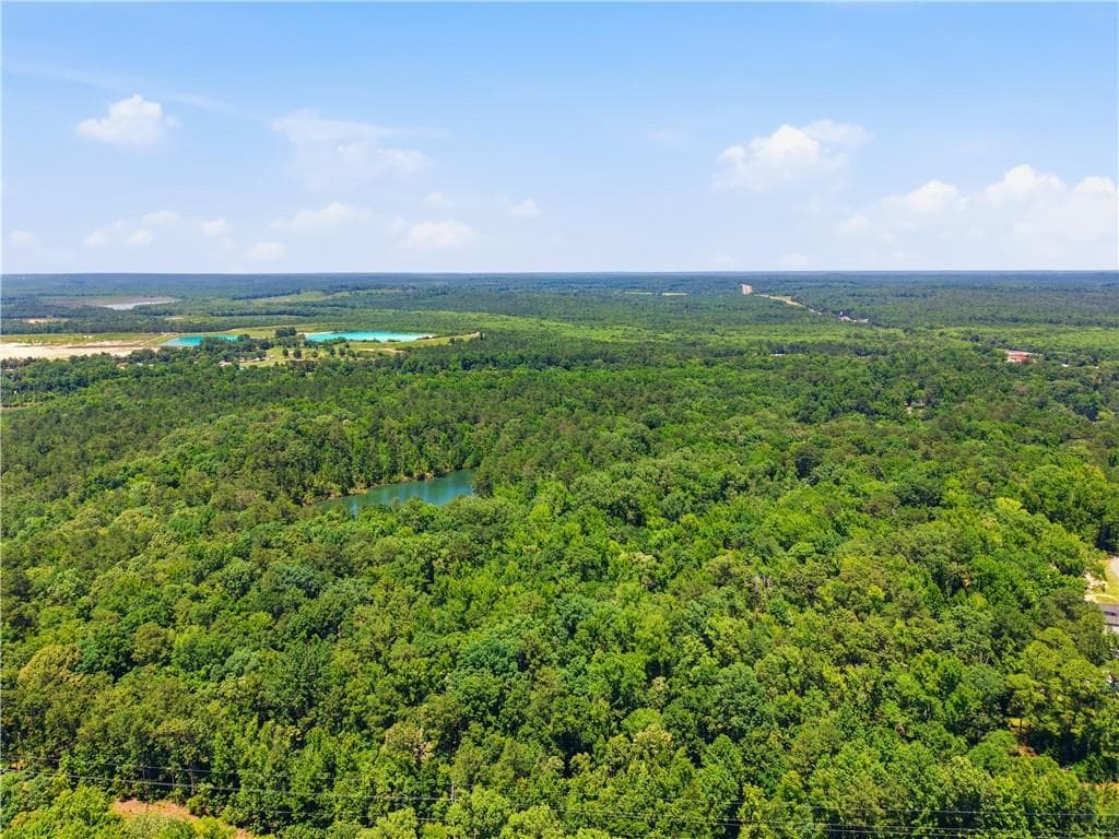 unimproved land for sale at 0 Magnolia, Mcintyre, GA 31054 — photo 5