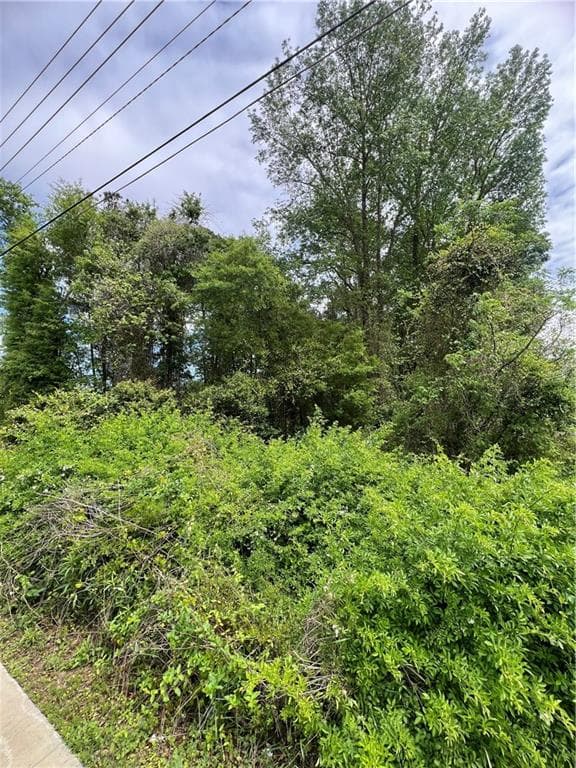 unimproved land for sale at 0 S M L K Jr Boulevard, Americus, GA 31719 — photo 6