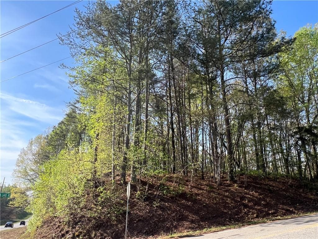unimproved land for sale at 6425 Anderson Lake Road, Dawsonville, GA 30534 — photo 2