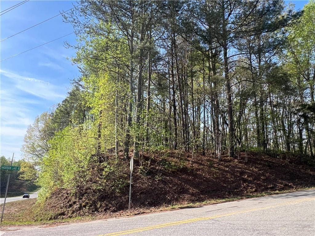 unimproved land for sale at 6425 Anderson Lake Road, Dawsonville, GA 30534 — photo 3