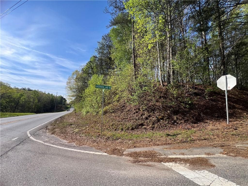 unimproved land for sale at 6425 Anderson Lake Road, Dawsonville, GA 30534 — photo 5