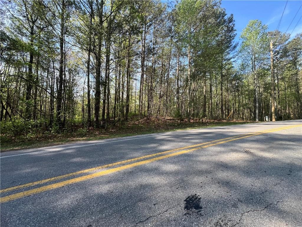 unimproved land for sale at 6425 Anderson Lake Road, Dawsonville, GA 30534 — photo 6