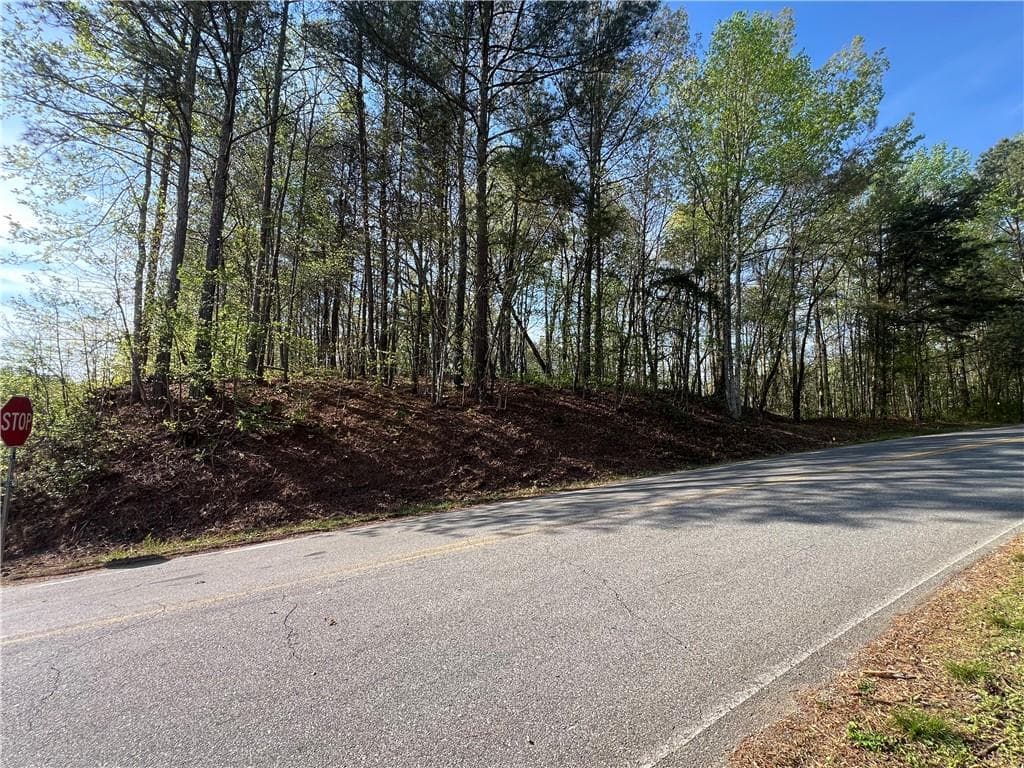 unimproved land for sale at 6425 Anderson Lake Road, Dawsonville, GA 30534 — photo 7