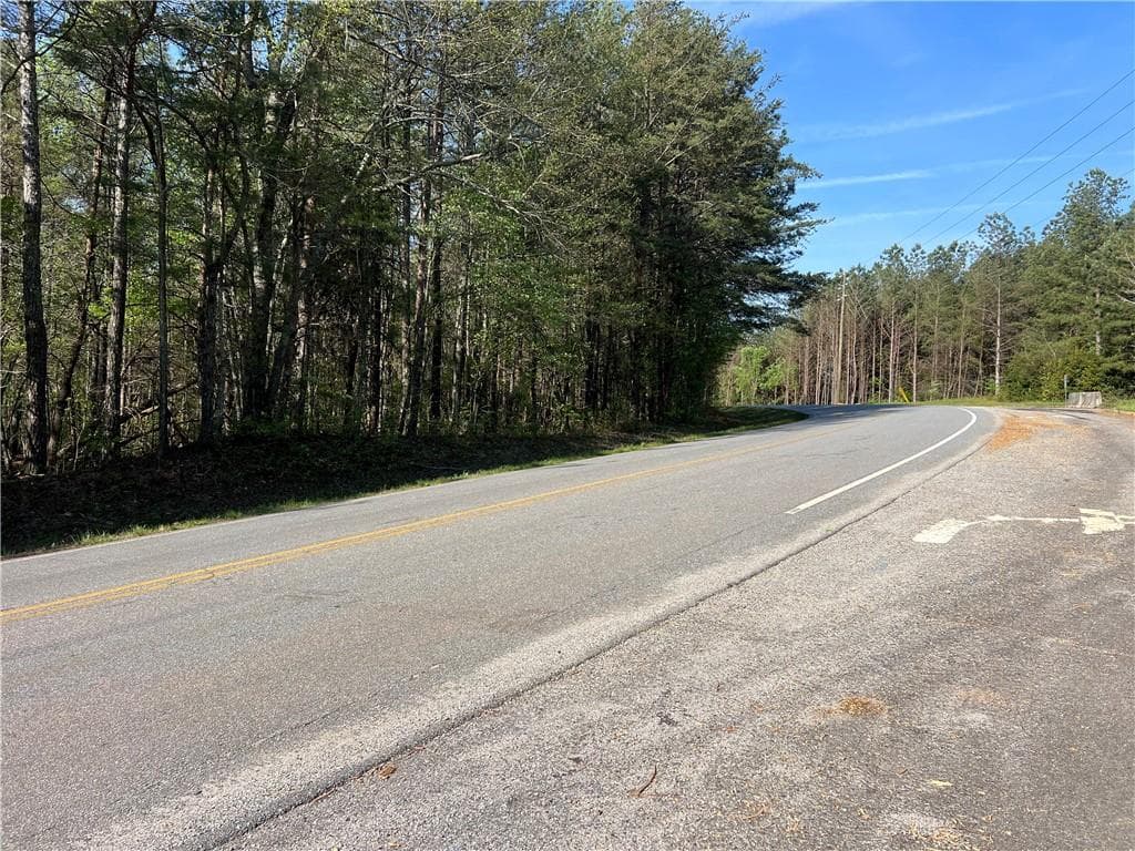 unimproved land for sale at 6425 Anderson Lake Road, Dawsonville, GA 30534 — photo 8