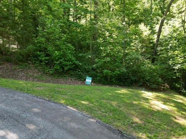single family residence for sale at 0 Yellow Trillium (Lot 13), Clayton, GA 30525 — photo 7