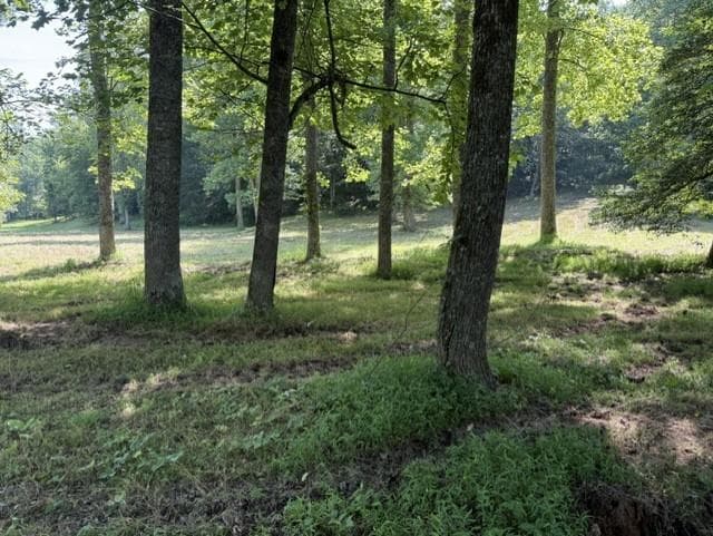 other for sale at 0 Lot 6 Clear Creek Preserve Way, Ellijay, GA 30536 — photo 1 of 10
