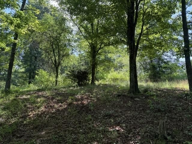 other for sale at 0 Lot 6 Clear Creek Preserve Way, Ellijay, GA 30536 — photo 2