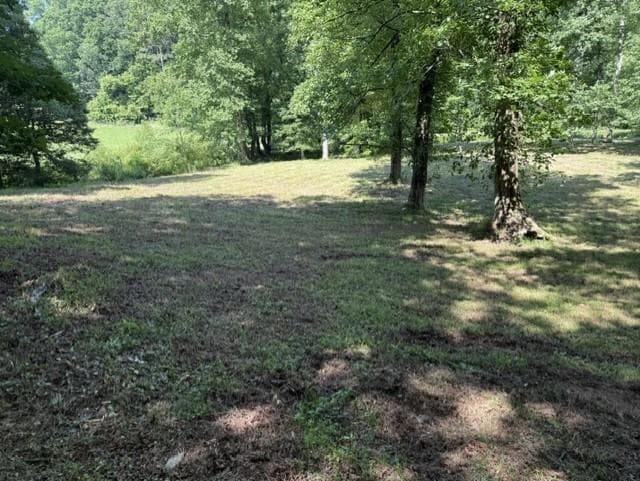 other for sale at 0 Lot 6 Clear Creek Preserve Way, Ellijay, GA 30536 — photo 3