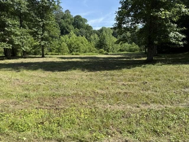other for sale at 0 Lot 6 Clear Creek Preserve Way, Ellijay, GA 30536 — photo 4