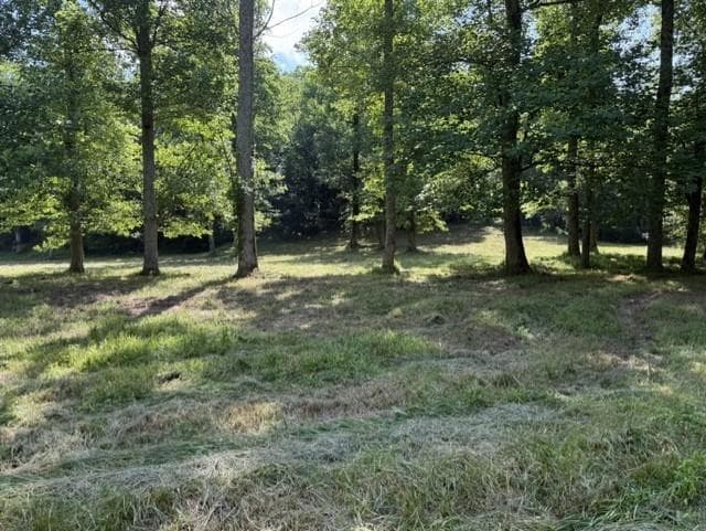 other for sale at 0 Lot 6 Clear Creek Preserve Way, Ellijay, GA 30536 — photo 5