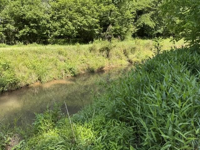 other for sale at 0 Lot 6 Clear Creek Preserve Way, Ellijay, GA 30536 — photo 6