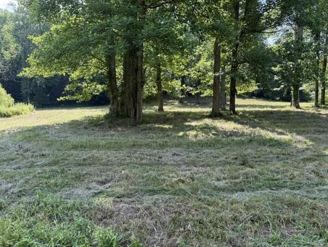 other for sale at 0 Lot 6 Clear Creek Preserve Way, Ellijay, GA 30536 — photo 7