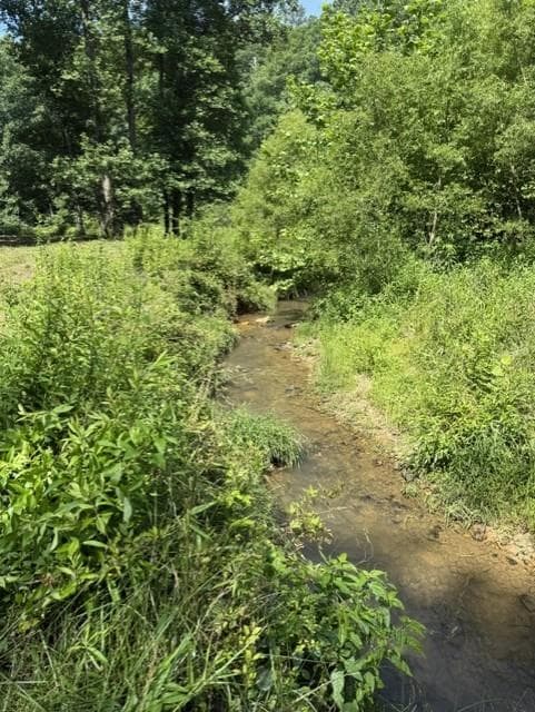 other for sale at 0 Lot 6 Clear Creek Preserve Way, Ellijay, GA 30536 — photo 8