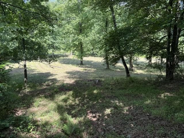 other for sale at 0 Lot 6 Clear Creek Preserve Way, Ellijay, GA 30536 — photo 9