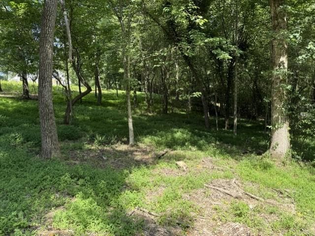 other for sale at 0 Lot 6 Clear Creek Preserve Way, Ellijay, GA 30536 — photo 10