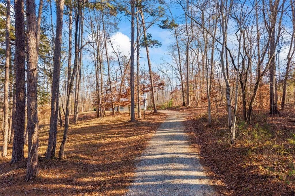 3 bedroom, 2 bathroom, 1,900 sq ft single family residence for sale at 665 N Holcomb Drive, Martin, GA 30557 — photo 4