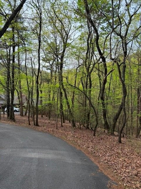 single family residence for sale at 226 Crested Fern Lane, Big Canoe, GA 30143