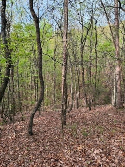 single family residence for sale at 226 Crested Fern Lane, Big Canoe, GA 30143 — photo 2