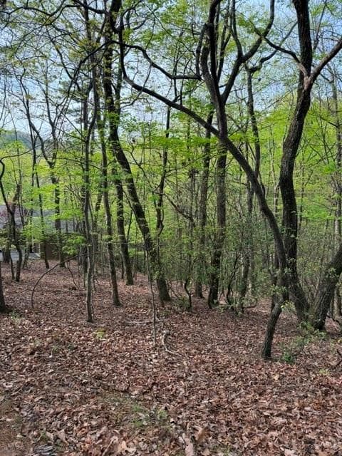 single family residence for sale at 226 Crested Fern Lane, Big Canoe, GA 30143 — photo 3