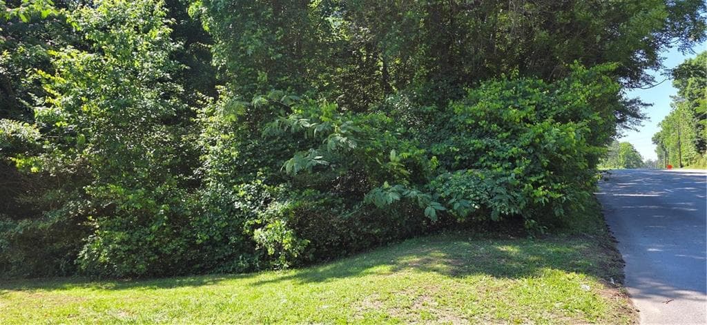 unimproved land for sale at 0 Washington Road, South Fulton, GA 30349 — photo 3