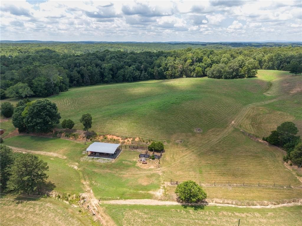 unimproved land for sale at 0 MOUNT PLEASANT Road, Fairmount, GA 30139 — photo 7