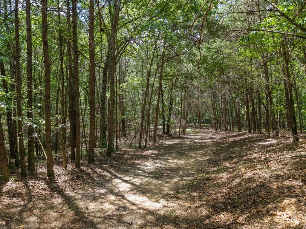 unimproved land for sale at 0 MOUNT PLEASANT Road, Fairmount, GA 30139 — photo 8
