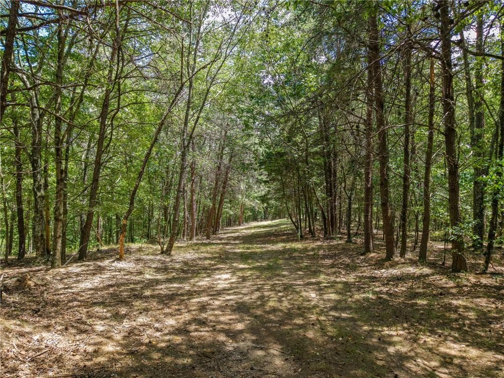 unimproved land for sale at 0 MOUNT PLEASANT Road, Fairmount, GA 30139 — photo 9