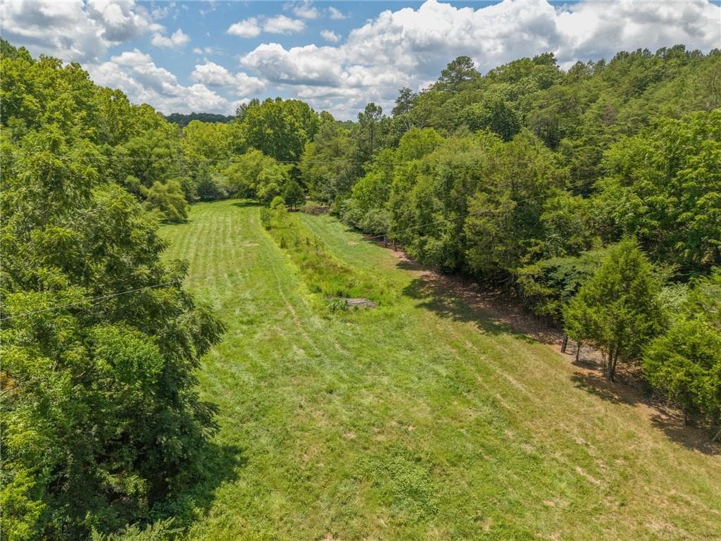 unimproved land for sale at 0 MOUNT PLEASANT Road, Fairmount, GA 30139 — photo 10